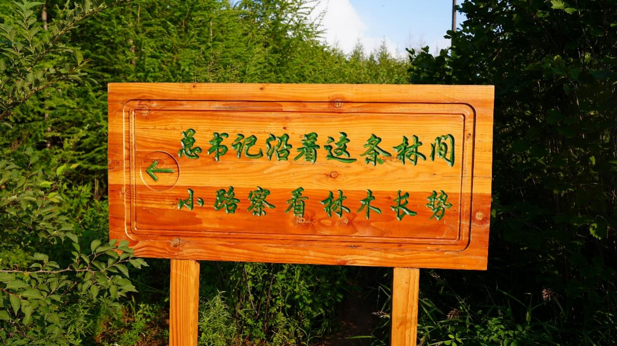 图片13.png